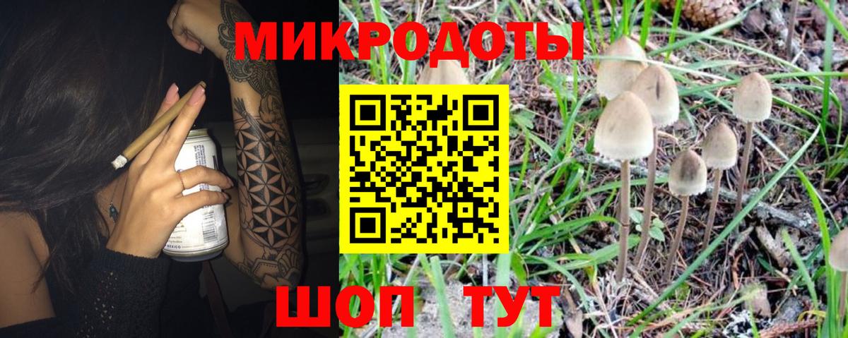 Псилоцибиновые грибы Psilocybe  Галлюциногенные грибы ЛСД  Сызрань  Вход с VPN 